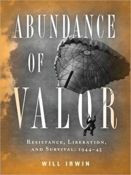 Title details for Abundance of Valor by Will Irwin - Available